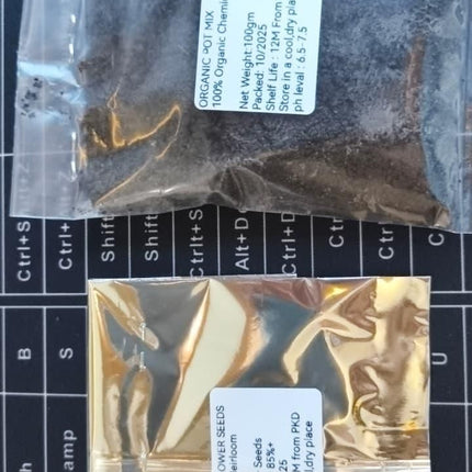 Vibrant Peacock Flower Seeds Pack of 1