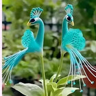 Vibrant Peacock Flower Seeds Pack of 1